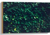 Hout - Muur van Groene Bladeren - 60x40 cm - 9 mm dik - Foto op Hout (Met Ophangsysteem)