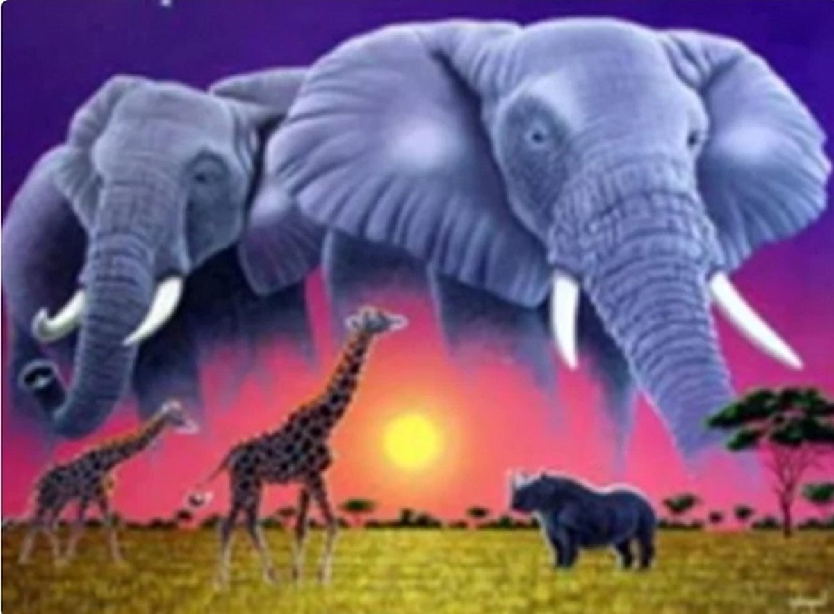 Denza - Diamond painting Olifant - giraf - neushoorn voor volwassenen Afrika 40 x 50 cm volledige bedrukking ronde steentjes direct leverbaar Afrika - africa - olifanten