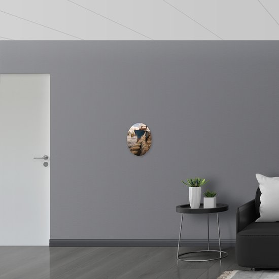 WallClassics - PVC Schuimplaat Ovaal - Grote Knoop van Vrachtschip aan Haven - 30x40 cm Foto op Ovaal (Met Ophangsysteem)