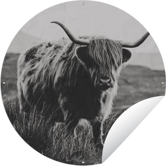 Tuincirkel Schotse hooglander - Natuur - Koeien - Dieren - Zwart wit - 90x90 cm - Ronde Tuinposter - Buiten
