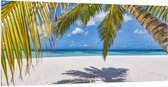 Tuinposter – Hangende Palmbladeren met Schaduw op Tropisch Wit Strand - 200x100 cm Foto op Tuinposter (wanddecoratie voor buiten en binnen)