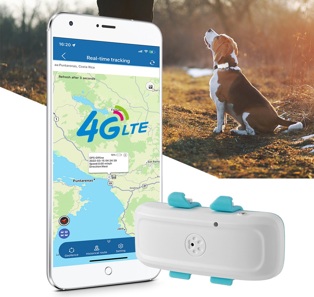Traceur GPS 4G pour chiens Chats - Localisation en ligne en temps réel  étanche IP65 -... | bol.com