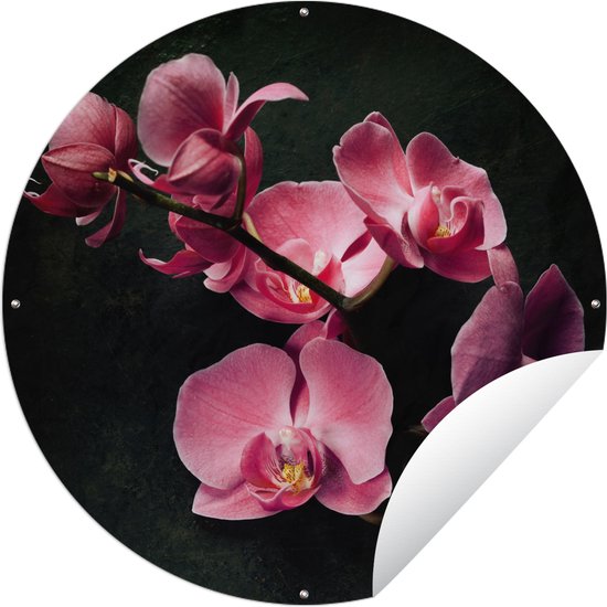 Tuincirkel Planten - Orchidee - Bloemen - Roze - 90x90 cm - Ronde Tuinposter - Buiten