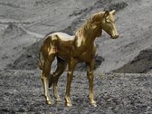 Sculptuur paard - goud - aluminium