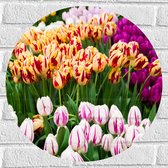 Muursticker Cirkel - Bloemenveld met Oranje, Roze en Paarse Tulpen - 50x50 cm Foto op Muursticker