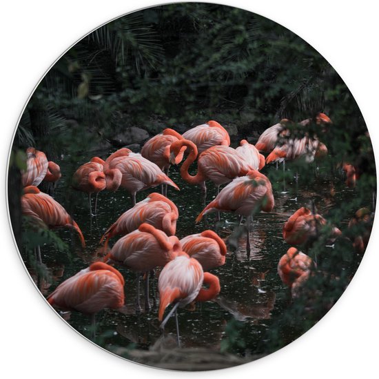PVC Schuimplaat Muurcirkel - Groep Flamingo's in het Water tussen Bomen en Planten - 70x70 cm Foto op Muurcirkel (met ophangsysteem)