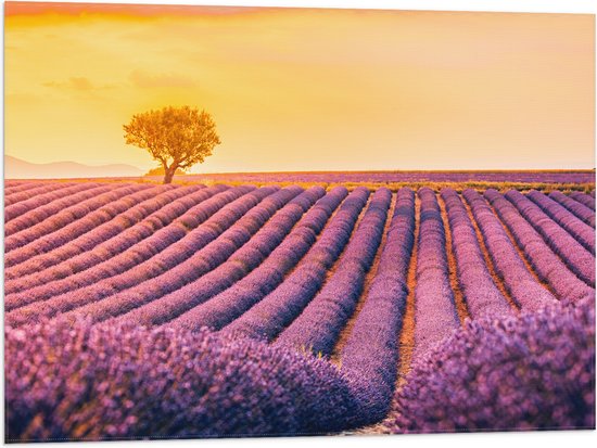 Vlag - Felle Zonsondergang over de Lavendelvelden met Eenzame Boom - 80x60 cm Foto op Polyester Vlag