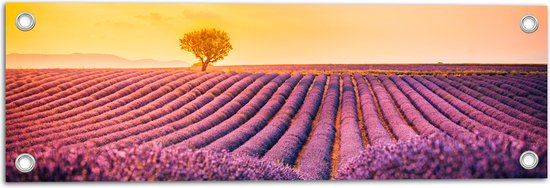Tuinposter – Felle Zonsondergang over de Lavendelvelden met Eenzame Boom - 60x20 cm Foto op Tuinposter (wanddecoratie voor buiten en binnen)