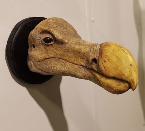 Preparatenshop replica afgietsel dodo kop