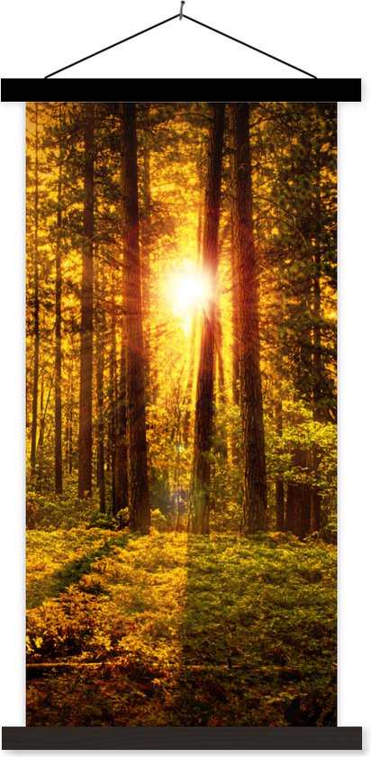 Posterhanger incl. Poster 40x80 cm - Schoolplaat - Bos - Zon - Bomen - Natuur - Zonsondergang - Textielposter - Zwarte latten