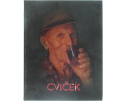 Cvicek