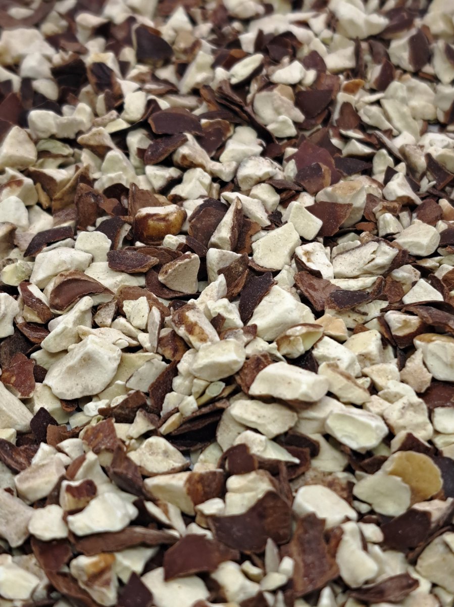 Witte paardenkastanje (Aesculus hippocastanum)150g