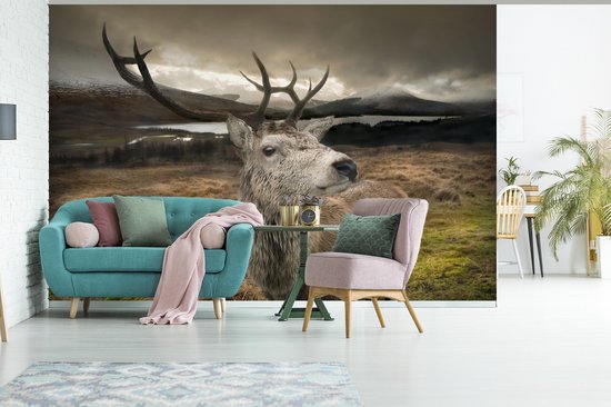 Papier peint photo peint photo vinyle - Gros plan cerf largeur 360 cm x hauteur 240 cm - Tirage photo sur papier peint (disponible en 7 tailles)