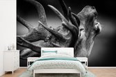 Papier peint Papier peint photo en vinyle - Cerf en noir et blanc largeur 330 cm x hauteur 220 cm - Tirage photo sur papier peint (disponible en 7 tailles)