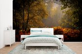 Brouillard dans le parc national de New Forest en Angleterre papier peint photo en vinyle largeur 435 cm x hauteur 260 cm - Tirage photo sur papier peint (disponible en 7 tailles)