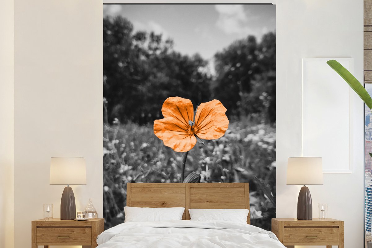 Behang - Fotobehang Bloemen - Zwart - Wit - Oranje - Breedte 225 cm x hoogte 350 cm