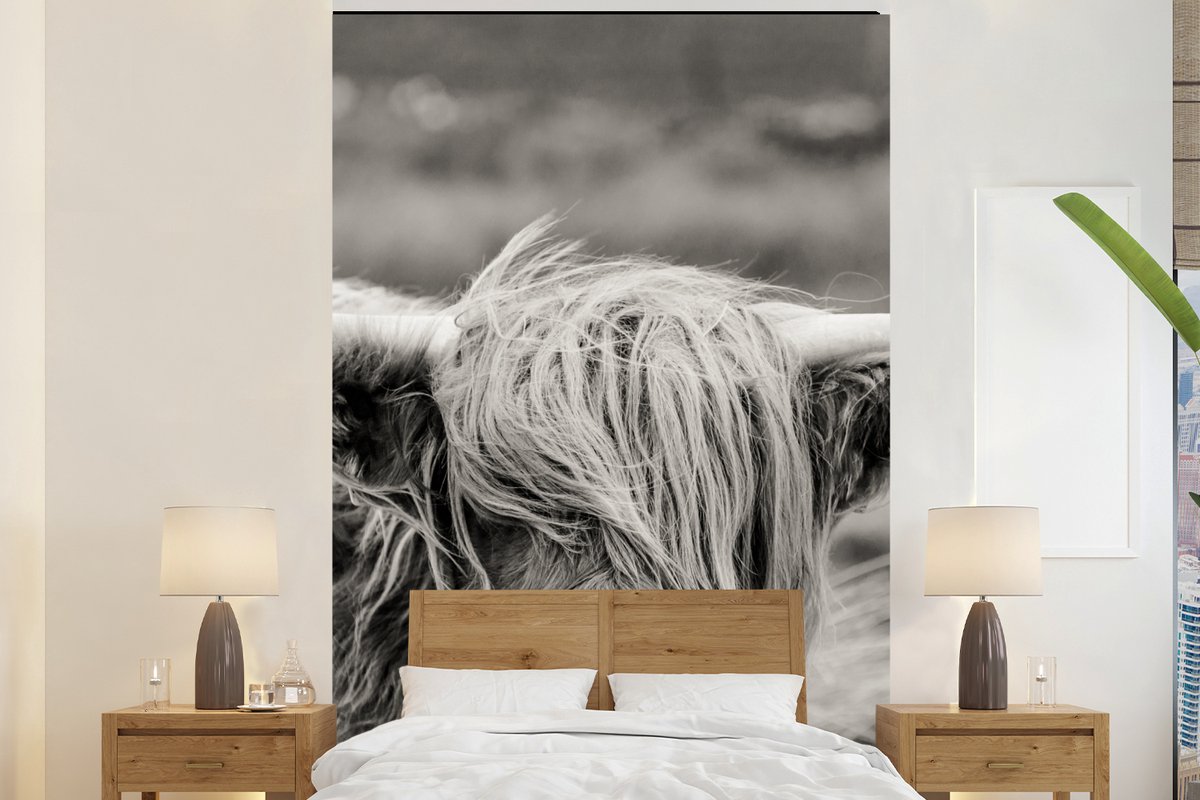Behang - Fotobehang Schotse hooglander - Koe - Dieren - Zwart wit - Landelijk - Breedte 155 cm x hoogte 240 cm