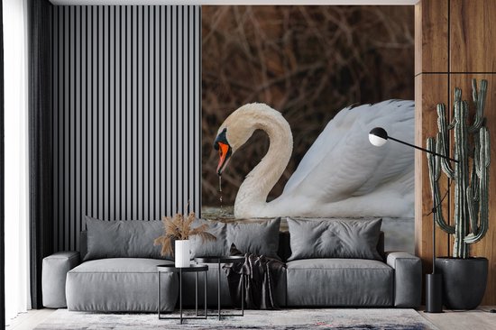 Behang - Fotobehang Zwaan - Water - Dieren - Vogel - Breedte 175 cm x hoogte 240 cm