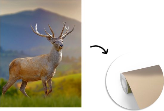 Behang - Fotobehang Hert - Berg - Gras - Zonsondergang - Dieren - Natuur - Breedte 165 cm x hoogte 220 cm