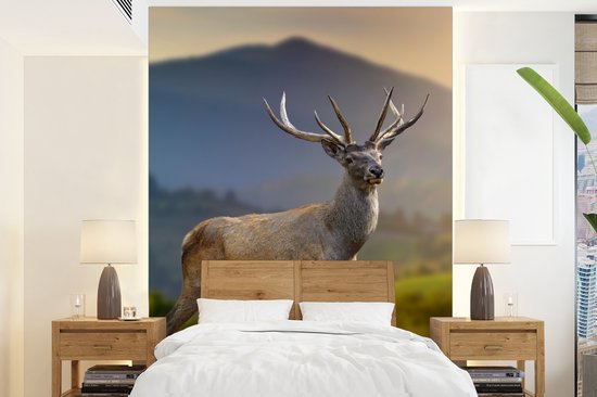 Behang - Fotobehang Hert - Berg - Gras - Zonsondergang - Dieren - Natuur - Breedte 165 cm x hoogte 220 cm