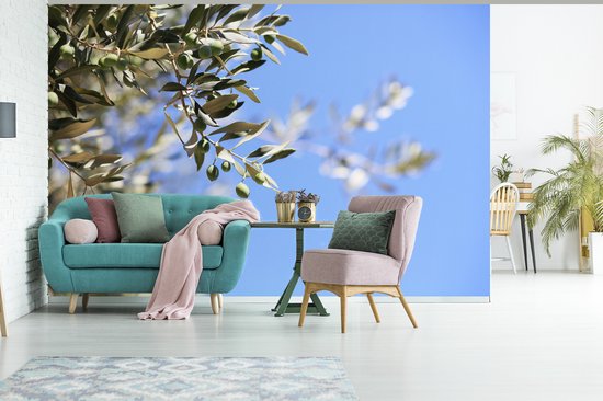 Branches de l'olivier en France fotobehang