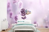 Behang - Fotobehang Lavendel - Vlinder - Close-up - Paars - Breedte 420 cm x hoogte 280 cm