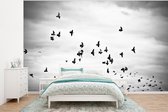 Behang - Fotobehang Dieren - Vogels - Wolken - Zwart - Wit - Breedte 295 cm x hoogte 220 cm