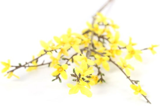 Branche de Pâques - Branche de Forsythia jaune - Fleurs de décoration printanière & hampe - Longueur 76cm - L 10cm Hauteur 1,5CM