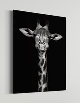 Giraffe | Schobbejak Animal Collection | Canvas | Wanddecoratie | Kunst | Schilderij | 100x150 CM