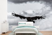 Behang - Fotobehang Zwart-wit foto van een vliegende oorgier - Breedte 330 cm x hoogte 220 cm