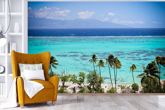 Papier peint photo en vinyle - Palmiers sur la côte de Moorea en Polynésie française largeur 360 cm x hauteur 240 cm - Tirage photo sur papier peint (disponible en 7 tailles)