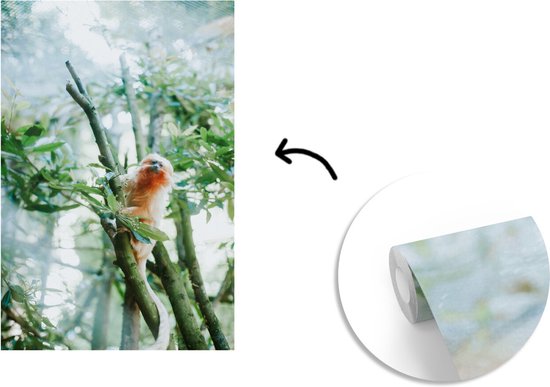 Papier Peint - Papier peint photo Marmotte Pygmée dans un Arbre - Largeur 200 cm x Hauteur 300 cm