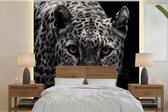 Behang - Fotobehang Zwart-wit foto van een gekleurde luipaard - Breedte 280 cm x hoogte 280 cm