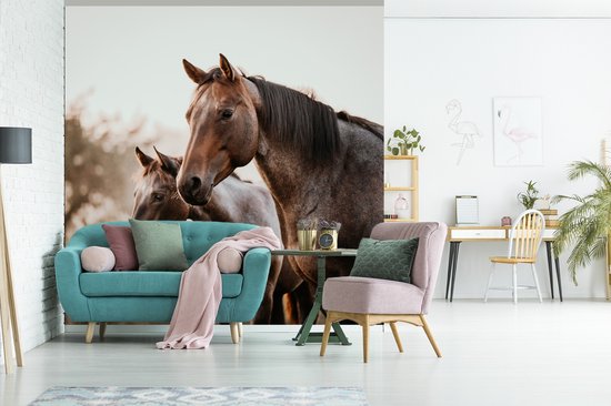 Papier Peint - Papier Papier peint photo Paarden - Nature - Marron - Largeur 240 cm x Hauteur 240 cm