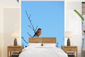 Behang - Fotobehang Een goudvink met een lichtblauwe hemel - Breedte 195 cm x hoogte 260 cm