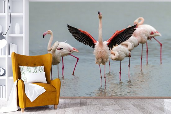 Flamingo qui s'étend 330x220 cm