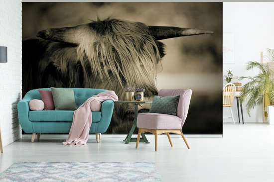 Papier peint - Papier peint photo Scottish Highlander - Animaux - Cheveux - Largeur 525 cm x hauteur 350 cm