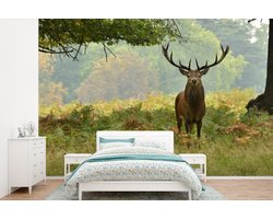Behang - Fotobehang Edelhert - Natuur - Groen - Breedte 330 cm x hoogte 220 cm