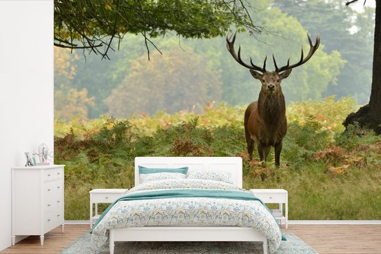 Behang - Fotobehang Edelhert - Natuur - Groen - Breedte 330 cm x hoogte 220 cm