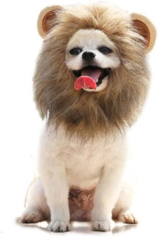 Publiciteit Portret Allergie ZERO 90® Leeuwenmanen hond - kleding voor honden - hondenmuts - honden  kostuum -... | bol.com