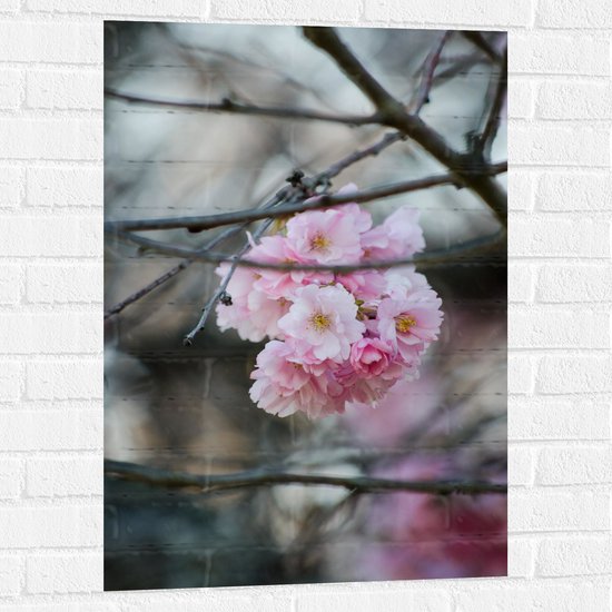 Muursticker - Licht Roze Bloemen aan een Tak - Sakura - 60x90 cm Foto op Muursticker