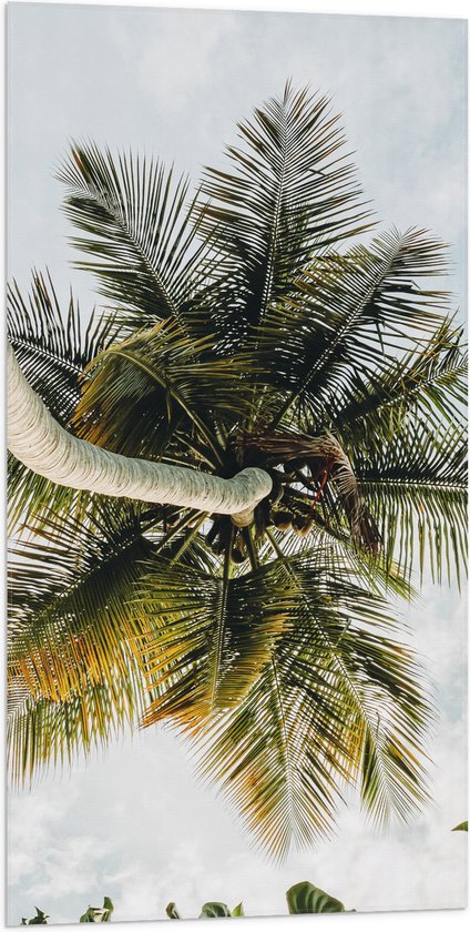Vlag - Palmboom vanaf onder - 50x100 cm Foto op Polyester Vlag