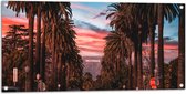 Tuinposter – Los Angeles Hollywood met Palmbomen - 100x50 cm Foto op Tuinposter (wanddecoratie voor buiten en binnen)