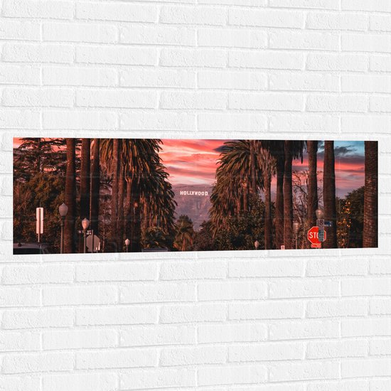 Muursticker - Los Angeles Hollywood met Palmbomen - 120x40 cm Foto op Muursticker