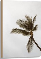 Hout - Palmboom in de Wind - 60x90 cm - 9 mm dik - Foto op Hout (Met Ophangsysteem)
