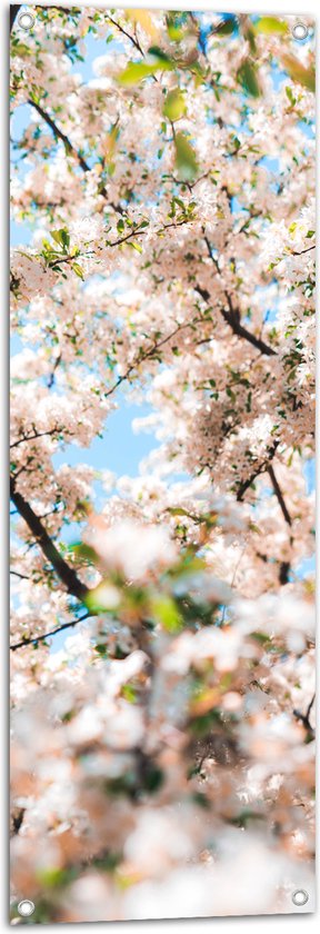 Tuinposter – Licht Roze met Witte Bloesem - 40x120 cm Foto op Tuinposter (wanddecoratie voor buiten en binnen)