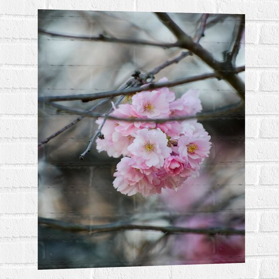 Muursticker - Licht Roze Bloemen aan een Tak - Sakura - 60x80 cm Foto op Muursticker