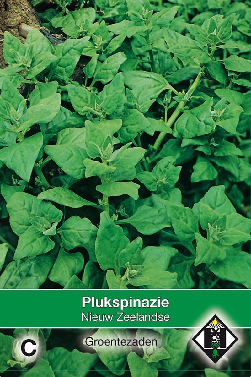 2 stuks Plukspinazie Nieuw ZeelandseVan Hemert & Co