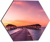 Dibond Hexagon - Vlonder naar Luxe Resorts op de Maledieven - 30x26.1 cm Foto op Hexagon (Met Ophangsysteem)