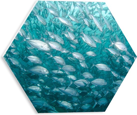 WallClassics - PVC Schuimplaat Hexagon - School Vissen onderwater - 30x26.1 cm Foto op Hexagon (Met Ophangsysteem)